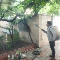 سم پاشی باغبانی سم پاشی شته.قارچ.کنه.چربی روی برگ