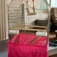 قفس طلایی|لوازم جانبی حیوانات|تهران, فلاح|دیوار