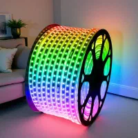 ریسه شلنگی هفت رنگ/مولتی/RGB/برق تسلا