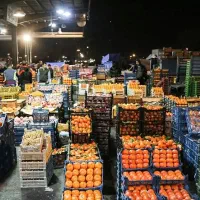 پخش میوه از میدان بار سپاد