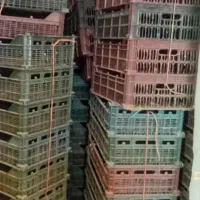 سبد مخصوص پیاز غده