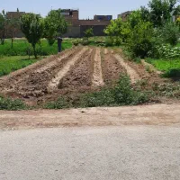 ۳۰۰ متر ملکی مفتح شرقی ۲۹ پورسینا ۱۷