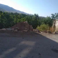 درو علف