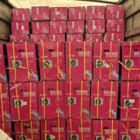 کولر گازی گمرکی کولرگازی اصلی تمامی برندها