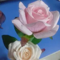 گل رز|گل مصنوعی|قم, مسکن مهر|دیوار