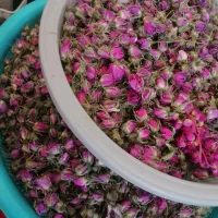 گل محمدی برای دمنوش