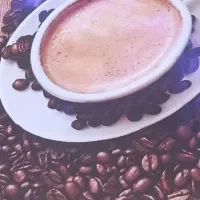 واگذاری کافه روبروی پارک شقایق جفت دادگاه