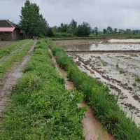 زمین زراعی وصنعتی