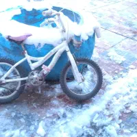 ۲تادوچرخه ی۱۶و۱۲ درحدنو