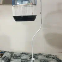 قفس ایستاده