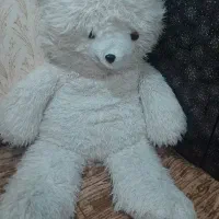 خرس بزرگ رنگ شیری سفیدی