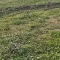زمین مسکونی 970 متر