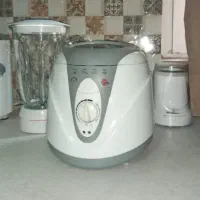 مینی سرخ کن