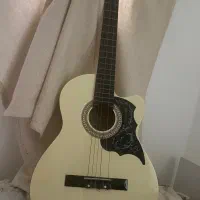 گیتار پائوچیا