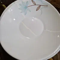 ظرف سروپذیرایی