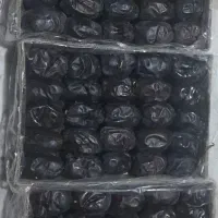 خرما رطب مضافتی دو ردیف