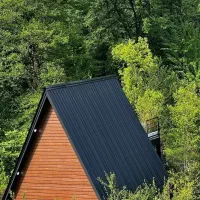 رزروکلبه سوئیسی چوبی جکوزی دارجنگلی با صبحانه