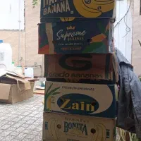 کارتن موزی و کارتن