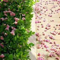 کسب درآمد + جایزه ۱۰۵ هزار تومانی