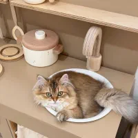 دختره مو بلند ۵ماهه ۳۶ تومن