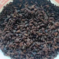 مویز