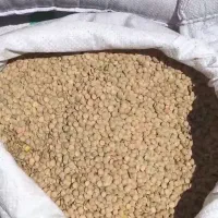 عدس و برنج و عسل و آبلیمو