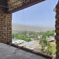 ملک کلنگی سند تک برگ