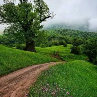 لیدر زوج برای گروه خانوادگی
