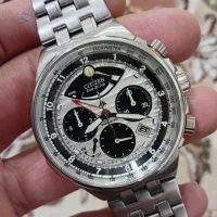 سیتیزن پاندای درحدنو