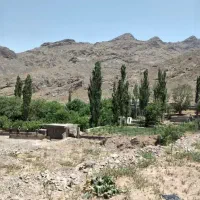 زمین-وشنوه