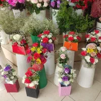باکس دونه ایی 750