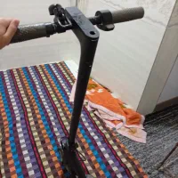 اسکوتر برقی معاوزه با یک جفت طوطی