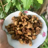 توت خشک شیرین و شربتی