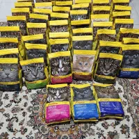 جوسرا ۲ کیلویی اصل