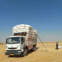 کاه کردستان دهگلان