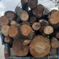 خریدار چوب