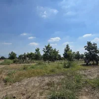 ۲۲۵متر زمین دلند۱/۲۰۰میلیارد