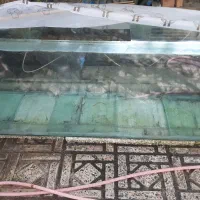 آکواریوم بزرگ سالم شیشه ۱۰میل