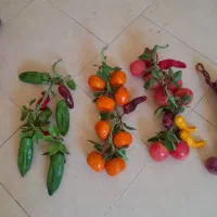 ریسه های میوه و سبزیجات خارجی