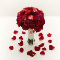 * تالار رایگان بدون ورودی * *عقد عروسی*