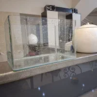 آکواریوم شیشه خم
