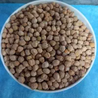 نخود|خوردنی و آشامیدنی|همدان, |دیوار