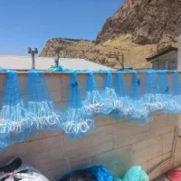 تور ماهیگیری