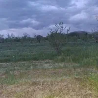 قطعه-زمین-باغی
