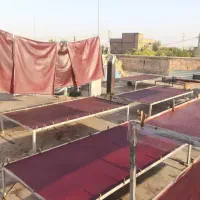 لواشک ارگانیک و خونگی عمده