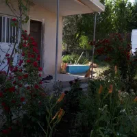 باغ با درختان مثمر روستای لاسم چشمه فیروزکوه