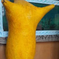 نی انبان نو