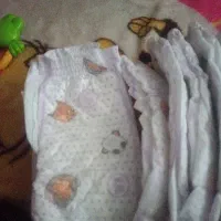 پمپرزبچه گونه