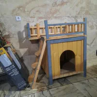 لانه سگ یا گربه