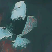 2جفت طوقی سلطنتی مولد ویژه حتما بخونید